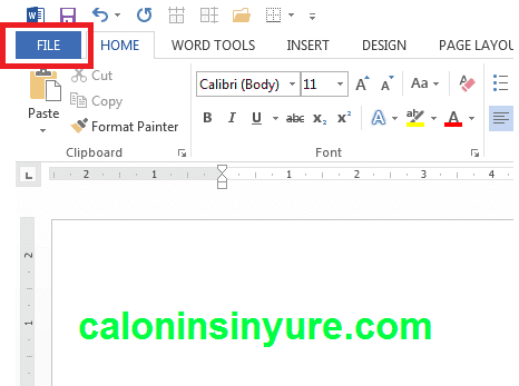 Gambar Tampilan File Options Microsoft Word 2013