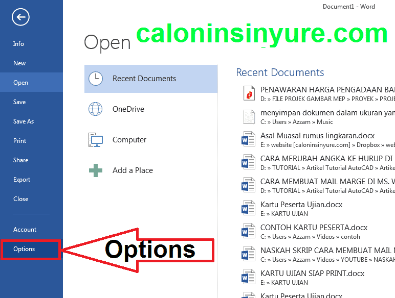 Gambar Tampilan File Options Microsoft Word 2013