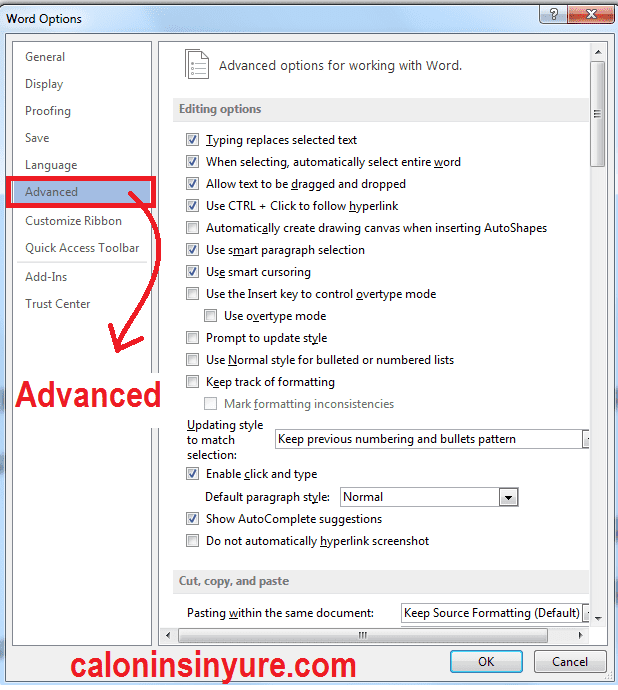 Gambar Tampilan Advanced - Microsoft Word 2013