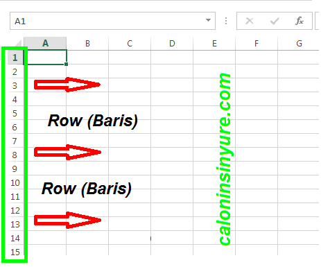 Gambar Tampilan Workbook - Row