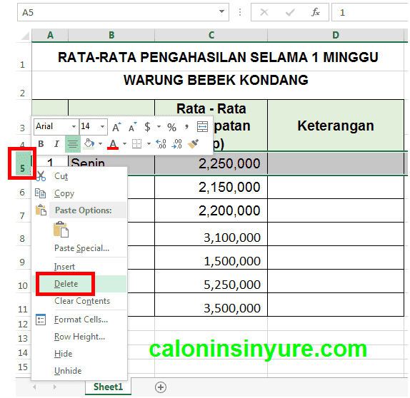 Gambar Tampilan Workhseet Delete Row