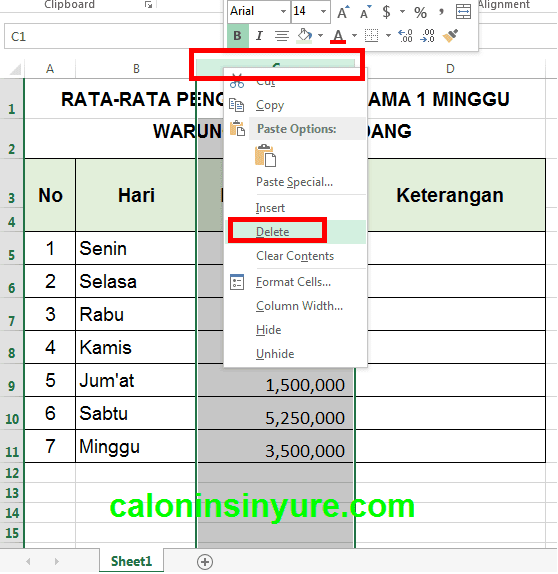 Gambar Tampilan Workhseet Delete Column