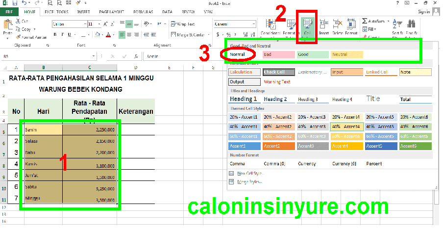 Gambar Tampilan Workhseet Cell Style