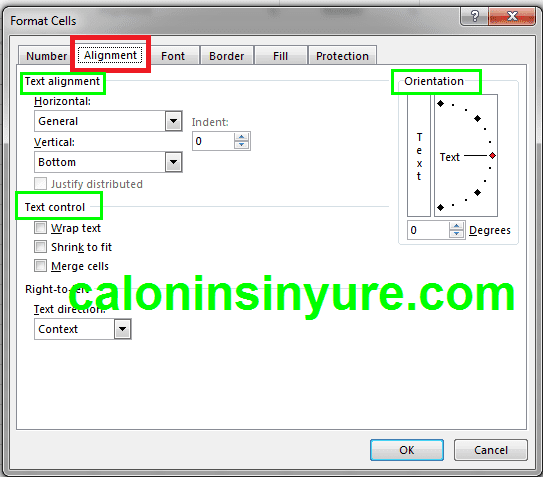 Gambar Tampilan Format Cell Alignment