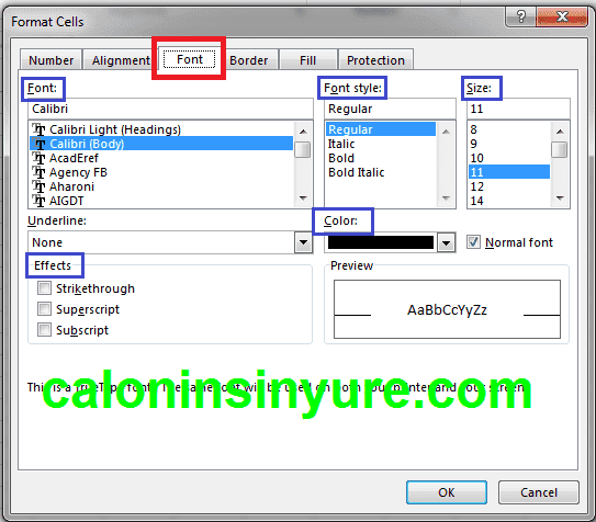 Gambar Tampilan Format Cell Font