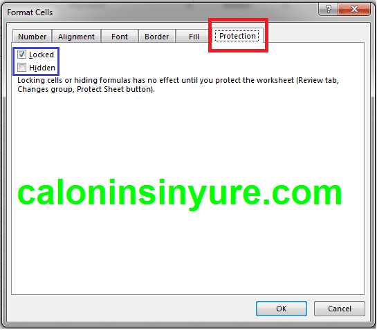 Gambar Tampilan Format Cell Protrction