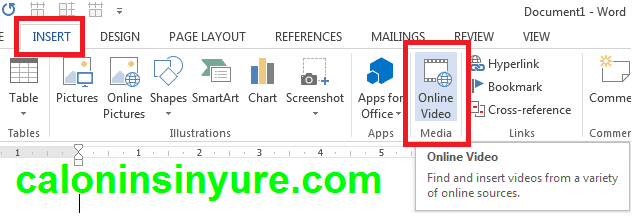 Gambar Tampilan Insert Video Microsoft Word 2013