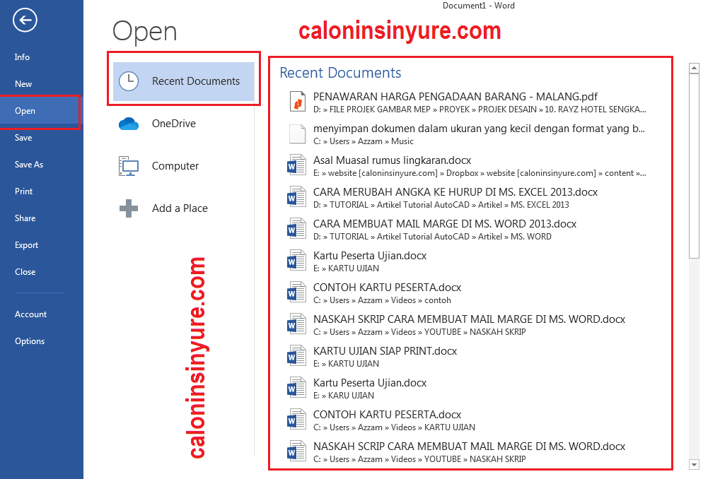 Gambar Tampilan Menu File (Bakstage)