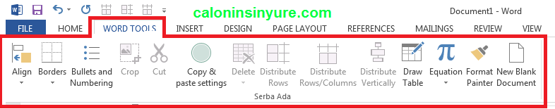 Gambar Tampilan Customsize Ribbon Ms. Word