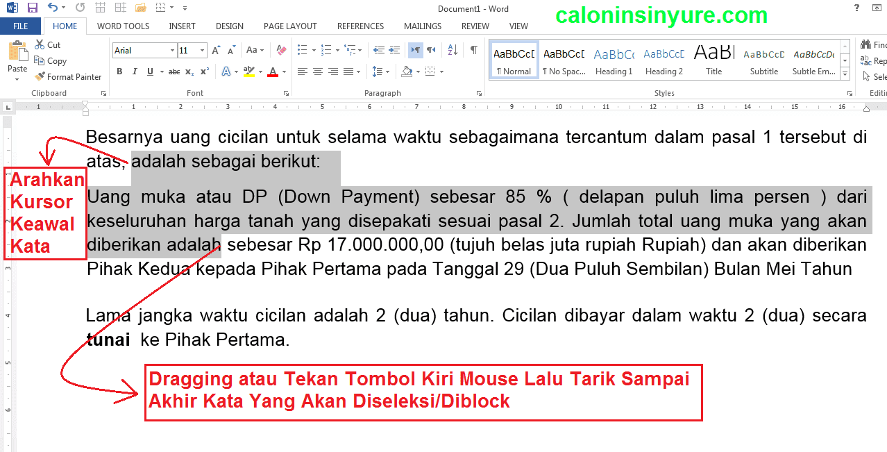 Gambar Tampilan Teks Document MS. Word