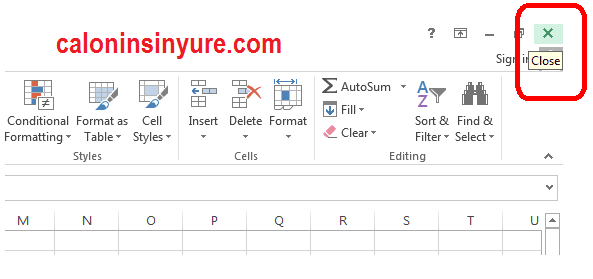 Gambar Tampilan Microsoft Excel 2013